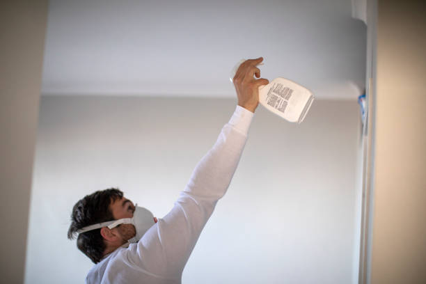 Best Home Mold Removal  in Rio, WI
