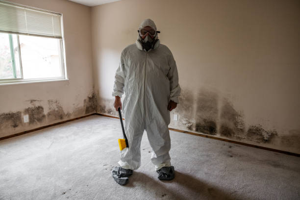 Best Mold Testing and Removal  in Rio, WI